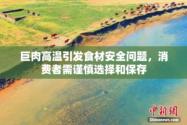 巨肉高温引发食材安全问题，消费者需谨慎选择和保存