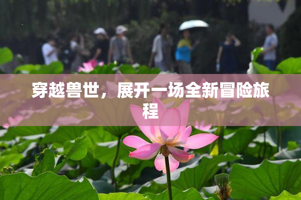 穿越兽世，展开一场全新冒险旅程