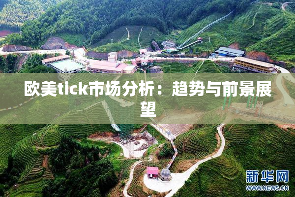 欧美tick市场分析：趋势与前景展望