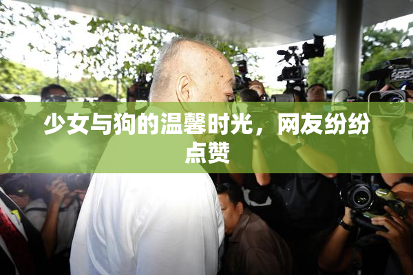 少女与狗的温馨时光，网友纷纷点赞