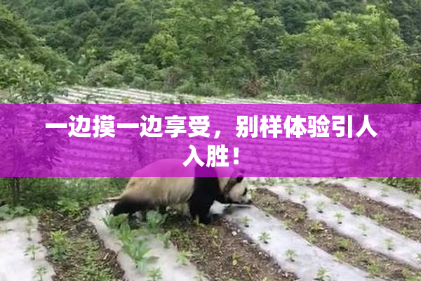 一边摸一边享受，别样体验引人入胜！