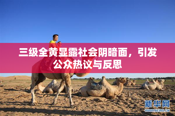 三级全黄显露社会阴暗面，引发公众热议与反思