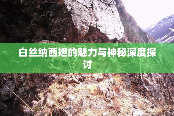 白丝纳西妲的魅力与神秘深度探讨