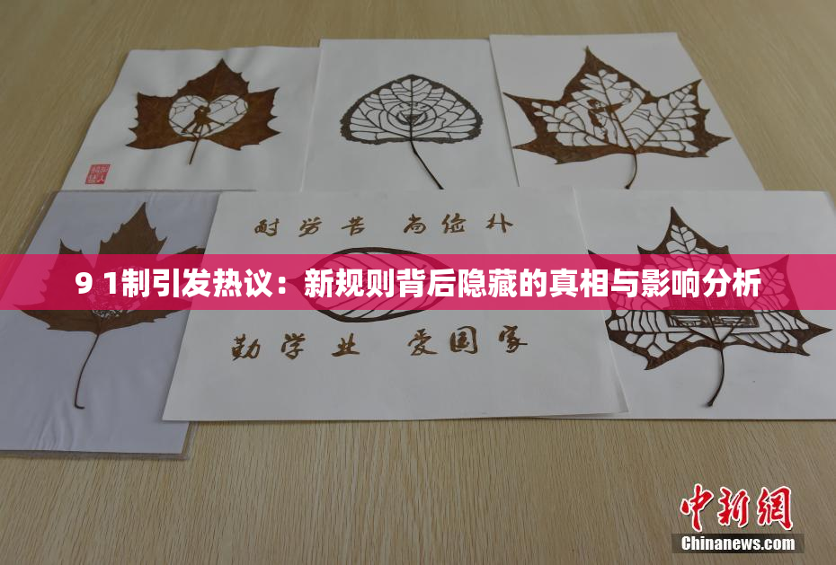 9 1制引发热议：新规则背后隐藏的真相与影响分析