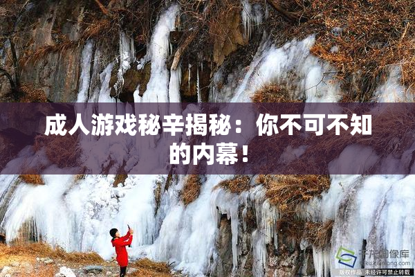成人游戏秘辛揭秘：你不可不知的内幕！