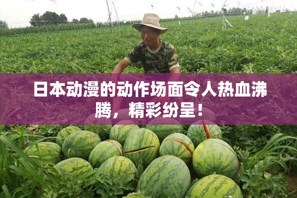 日本动漫的动作场面令人热血沸腾，精彩纷呈！