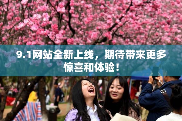 9.1网站全新上线，期待带来更多惊喜和体验！