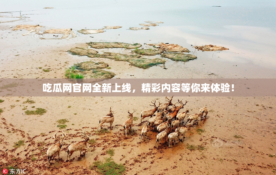 吃瓜网官网全新上线，精彩内容等你来体验！