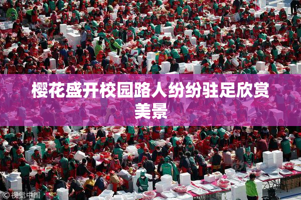 樱花盛开校园路人纷纷驻足欣赏美景