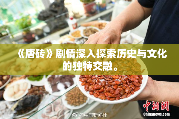 《唐砖》剧情深入探索历史与文化的独特交融。