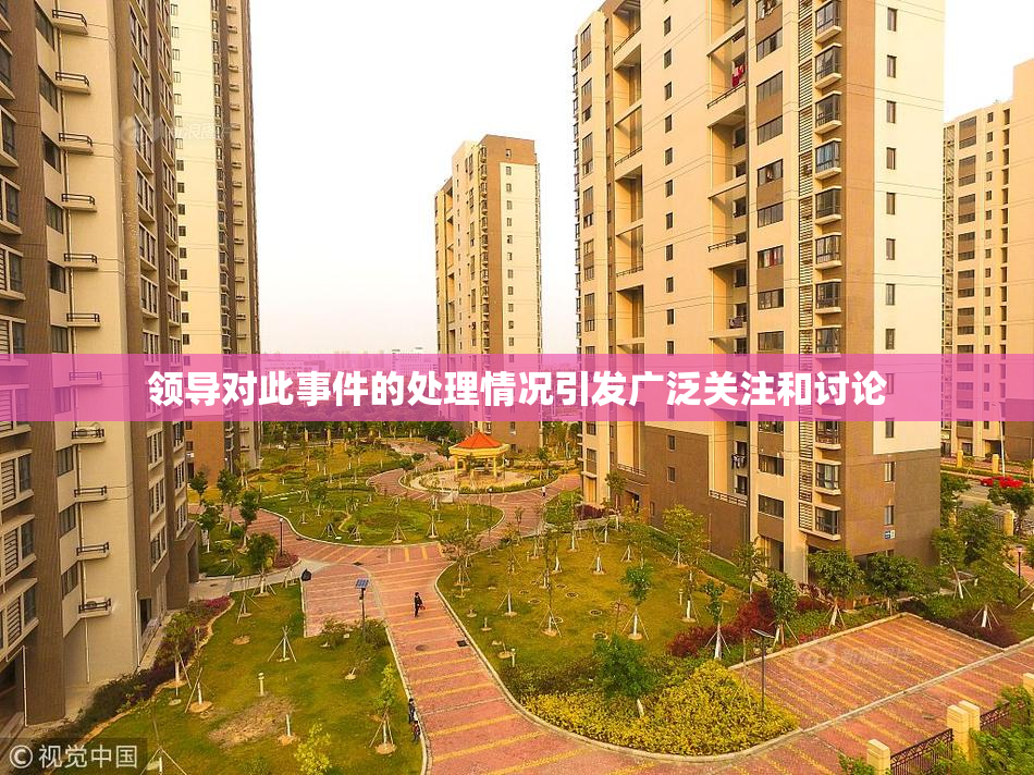 领导对此事件的处理情况引发广泛关注和讨论