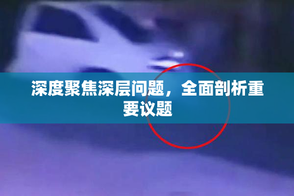 深度聚焦深层问题，全面剖析重要议题