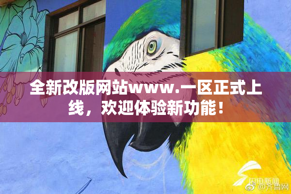 全新改版网站www.一区正式上线，欢迎体验新功能！