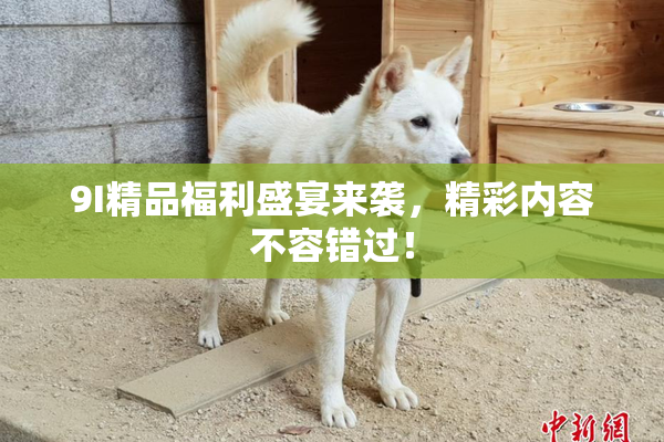 9I精品福利盛宴来袭，精彩内容不容错过！
