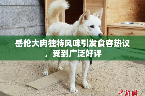 岳伦大肉独特风味引发食客热议，受到广泛好评