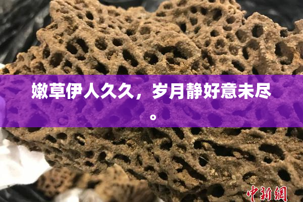 嫩草伊人久久，岁月静好意未尽。