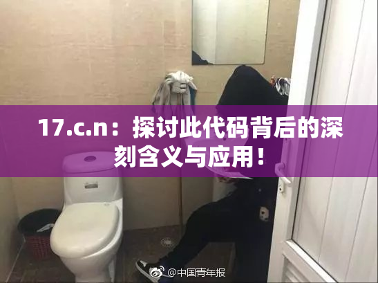 17.c.n：探讨此代码背后的深刻含义与应用！