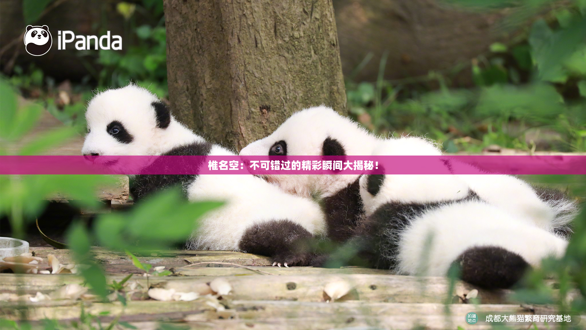 椎名空：不可错过的精彩瞬间大揭秘！