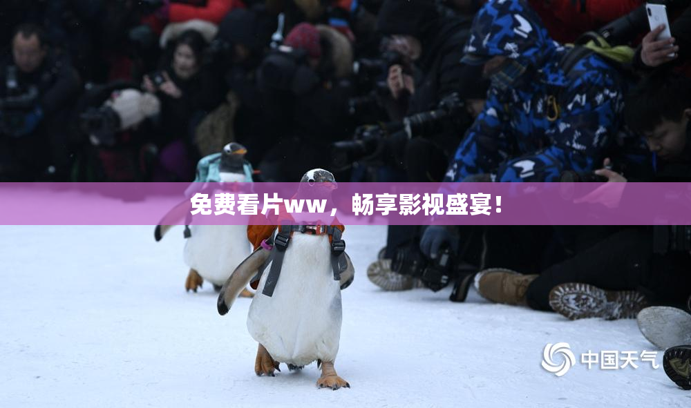 免费看片ww，畅享影视盛宴！