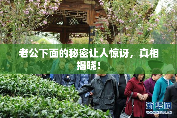老公下面的秘密让人惊讶，真相揭晓！