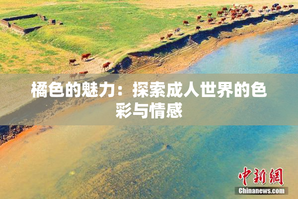 橘色的魅力：探索成人世界的色彩与情感