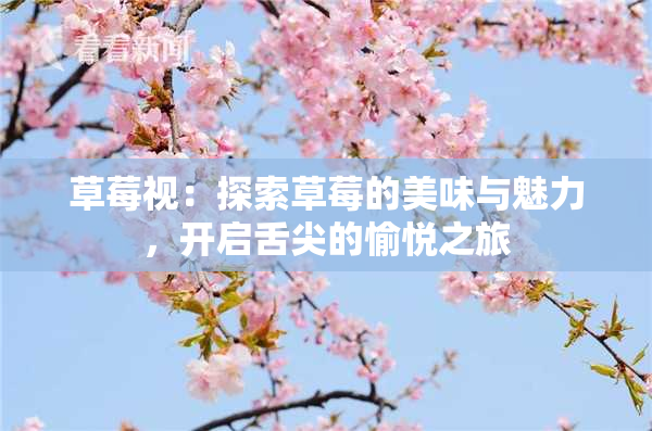 草莓视：探索草莓的美味与魅力，开启舌尖的愉悦之旅