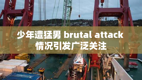 少年遭猛男 brutal attack 情况引发广泛关注