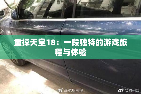 重探天堂18：一段独特的游戏旅程与体验