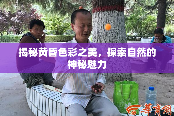 揭秘黄昏色彩之美，探索自然的神秘魅力