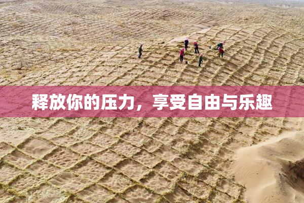 释放你的压力，享受自由与乐趣