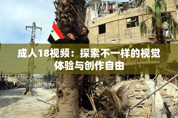 成人18视频：探索不一样的视觉体验与创作自由