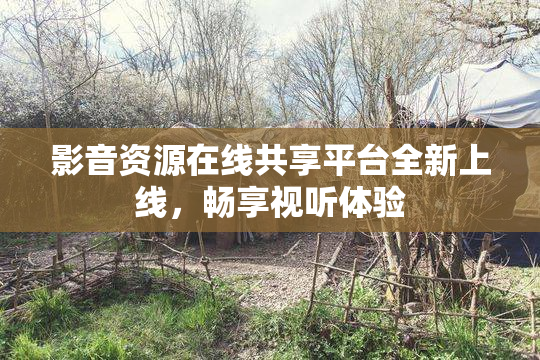 影音资源在线共享平台全新上线，畅享视听体验