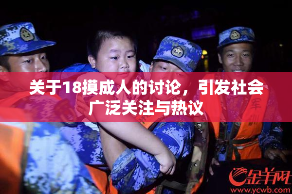 关于18摸成人的讨论，引发社会广泛关注与热议