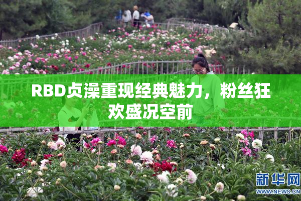 RBD贞澡重现经典魅力，粉丝狂欢盛况空前