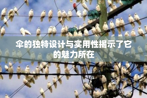 伞的独特设计与实用性揭示了它的魅力所在