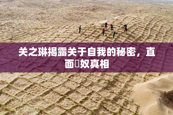 关之琳揭露关于自我的秘密，直面婬奴真相