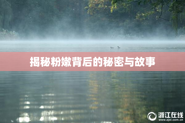 揭秘粉嫩背后的秘密与故事
