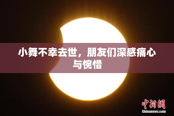 小舞不幸去世，朋友们深感痛心与惋惜