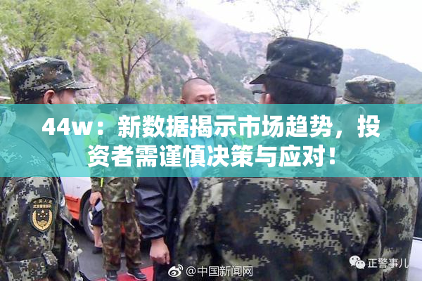 44w：新数据揭示市场趋势，投资者需谨慎决策与应对！