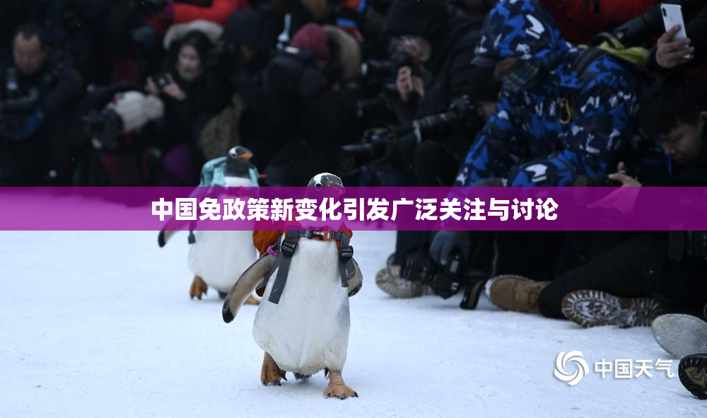中国免政策新变化引发广泛关注与讨论
