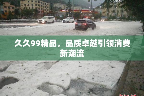 久久99精品，品质卓越引领消费新潮流