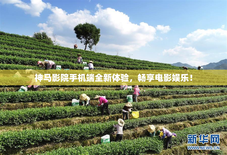 神马影院手机端全新体验，畅享电影娱乐！