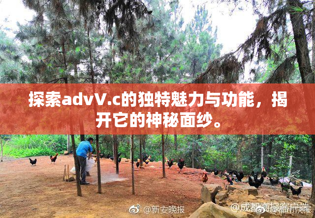 探索advV.c的独特魅力与功能，揭开它的神秘面纱。