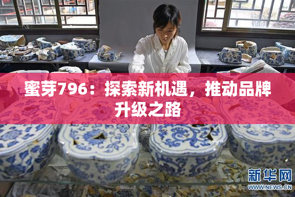 蜜芽796：探索新机遇，推动品牌升级之路