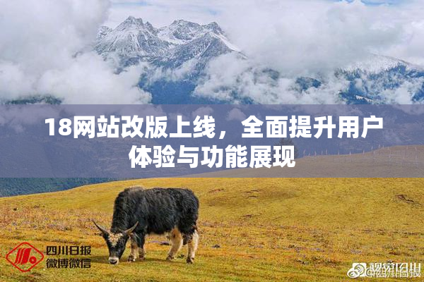 18网站改版上线，全面提升用户体验与功能展现