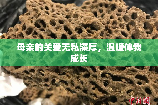 母亲的关爱无私深厚，温暖伴我成长