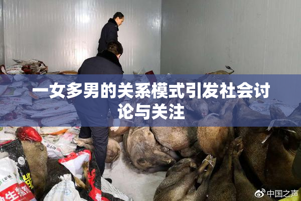 一女多男的关系模式引发社会讨论与关注