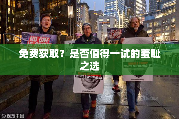 免费获取？是否值得一试的羞耻之选