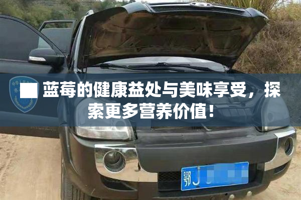 ▇ 蓝莓的健康益处与美味享受，探索更多营养价值！