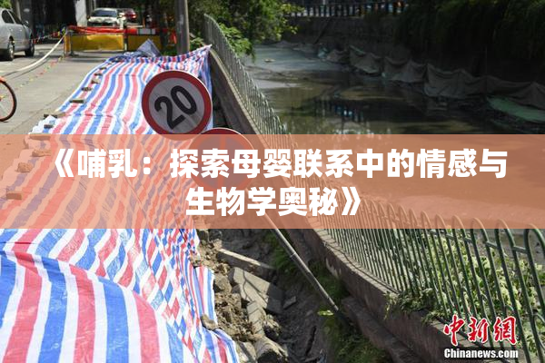 《哺乳：探索母婴联系中的情感与生物学奥秘》